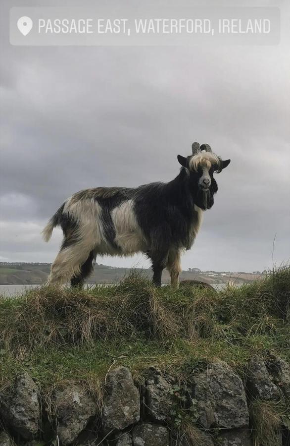 Ballyhack By The Sea Arthurstown ภายนอก รูปภาพ